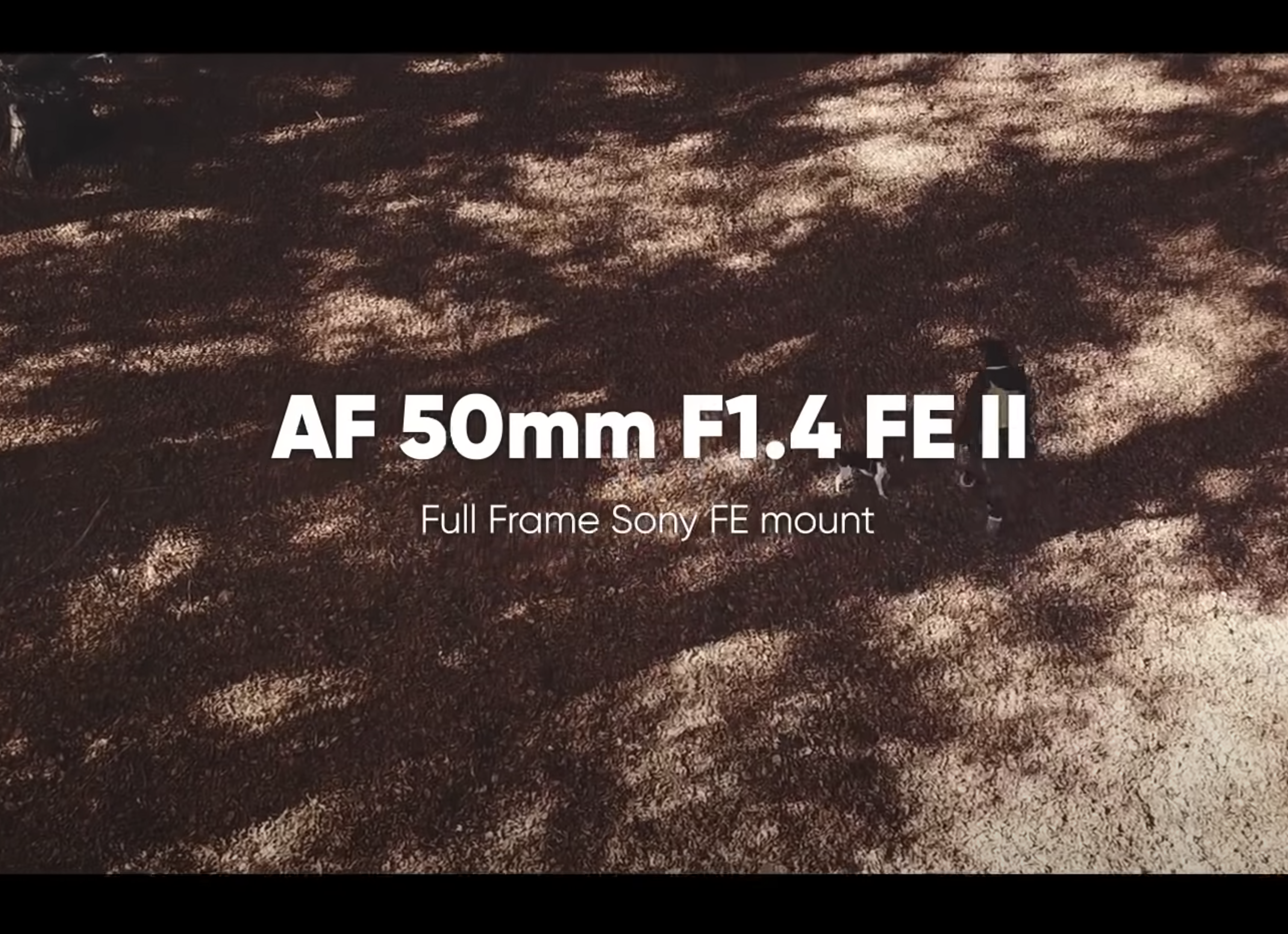 AF 50mm f/1.4 FE II | Sony E-Mount